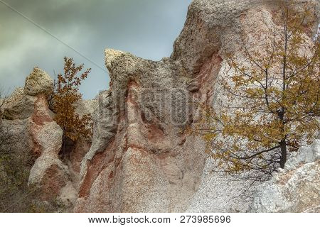 Pink Rocks Growing Image & Photo (Free Trial) | Bigstock