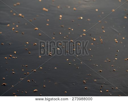 Abstract Surface Of Frozen Lake. Frozen Air In Arctic Ice. Colorful Piece Of Ice With Sun Rays Refle