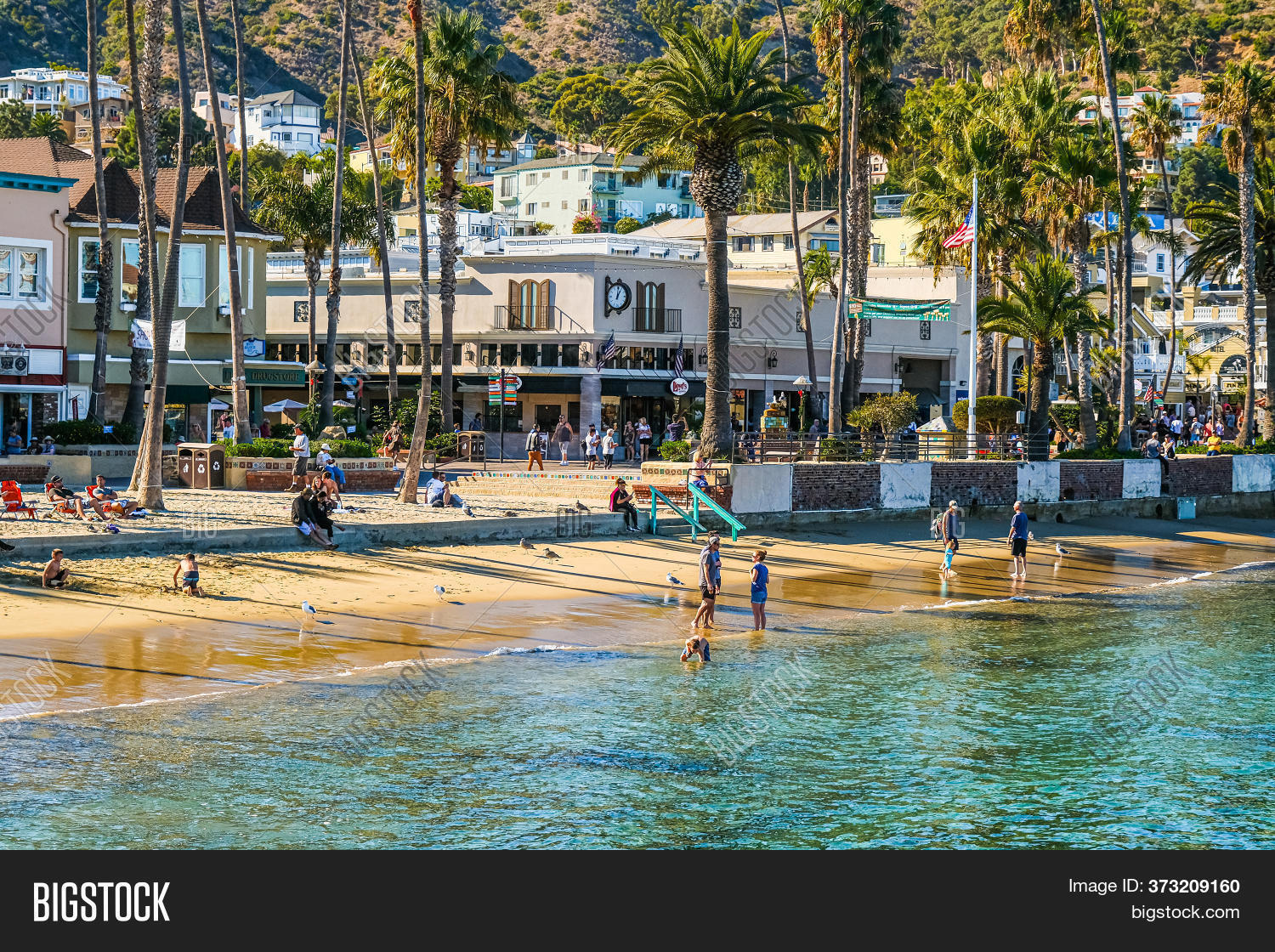 Avalon, California Image & Photo (Free Trial) Bigstock