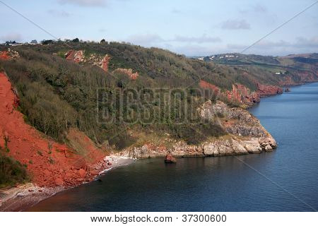 Coast of Torquay