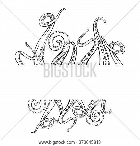 Frame With Black And White Sketches Octopus Tentacles And Place For Text. Creepy Limbs Of Marine Inh