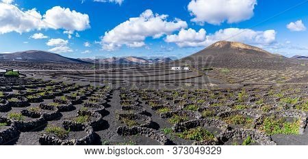 Landscape With La Geria Vineyards Region, Lanzarote, Canary Islands