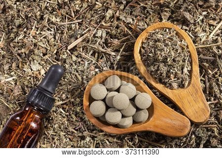 Phyllanthus Niruri - Stone Chanca. Pills. Text Space