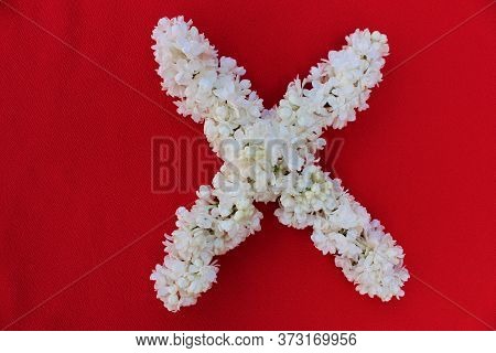 Letter X Made From Flowers Of White Lilac On A Red Background. Flowers Composition. Flat Lay. Letter