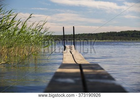 A Narrow Wooden Pier For Bathing From The Shore Into The Water In A Forest Lake. Lake In The Forest.