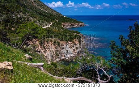 Green Mountainous Coast Of The Mediterranean Sea On The Akamas Peninsula In The Northwest Of The Isl