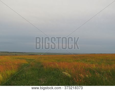 Evening Road In Steppe To Sunset, The Summer