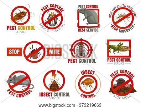 Pest Control Vector Icons With Insects And Animals. Mosquito, Cockroach, Mouse And Rat, Fly, Mite Or