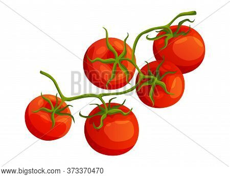 Chery Tomato. Fresh Healthy Red Tomato Made In Flat Style. Vegetarian Food. Vegetable From The Farm.