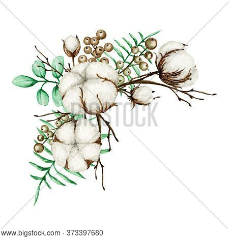 Watercolor Cotton Frame Bouquet. Botanical Hand Drawn Eco Wedding Card Illustration. Cotton Flowers 