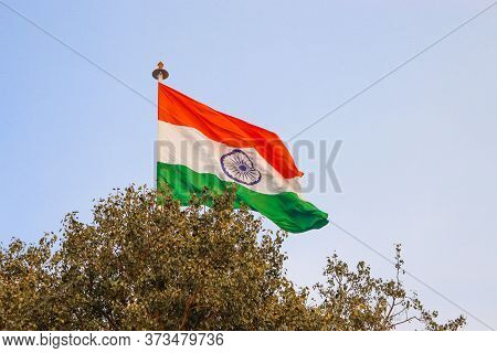 India Flag With Clear Blue Sky In The Background And Tree In Foreground