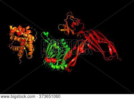 3d Rendering. The Structure Of The Protein Molecule, An Activator Of Angiogenesis. X-ray Crystalline