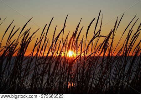 Sunrise  Behind  The  Natural  Follage  Of  The  Beach