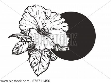 Hand Drawn Sketch Black And White Hibiscus Flowers. Vector Illustration. Elements In Graphic Style L
