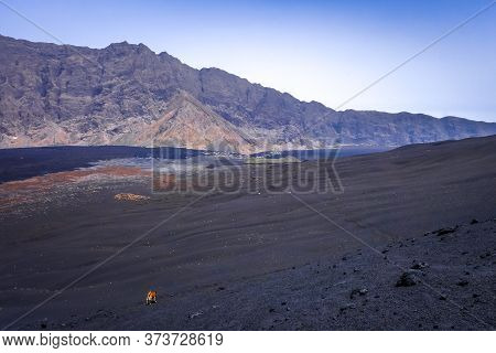 Cha Das Caldeiras And Pico Do Fogo In Cape Verde, Africa