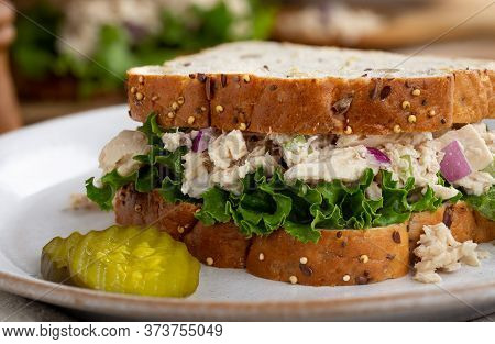 Tuna Fish Salad And Lettuce Sandwich On Multiseed Bread With Sliced Pickles On A White Plate