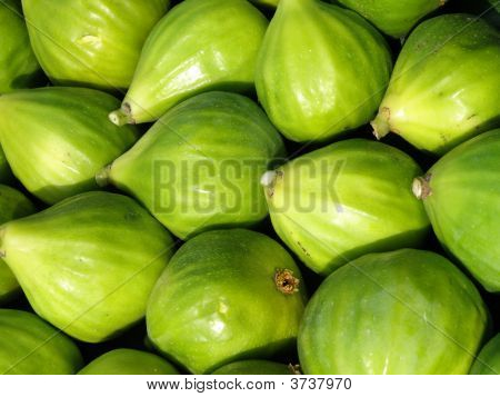 Figner