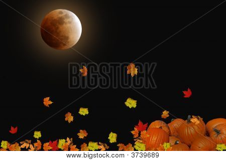 Harvest Moon