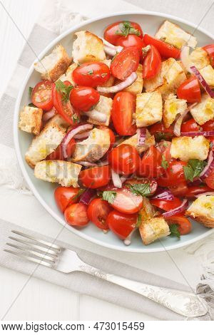 Delicious Summer Salad Of Cherry Tomatoes, Stale Bread, Onion, Olive Oil And Tomato Juice Close-up I