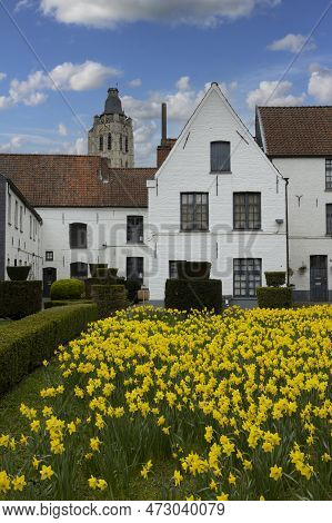 View Of The Historic White Houses In The Beguinage In The City Of Oudenaarde In East Flanders, Belgi