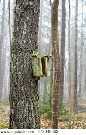 Odl Broekn Bird House Hanging On Tree Trunk