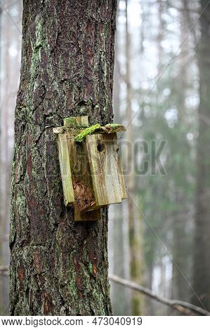 Odl Broekn Bird House Hanging On Tree Trunk