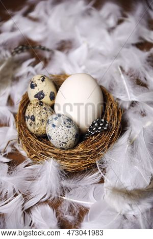 Fresh Eco Products, Egg In Nest On Brown Background, Chicken Feathers Flying. Chicken Egg, Healthy F