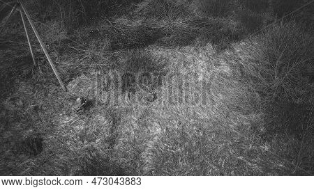 Men Dressed As Us American Soldiers Of Usa Infantry Of World War Ii Sneaking Around In Spring Autumn