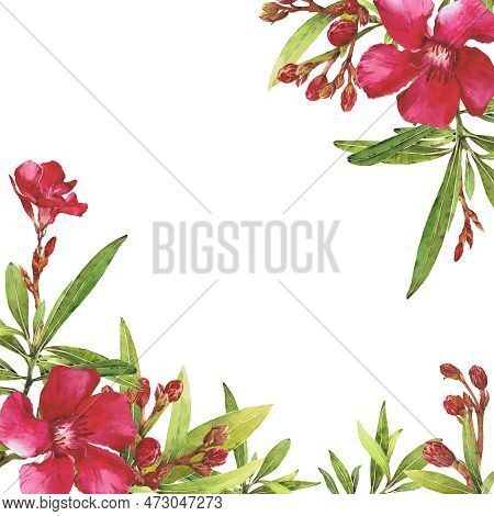 Watercolor Illustration Of Oleander. Set With Flowers And Leaves. Hand-drawn Isolated Clip Art On A 