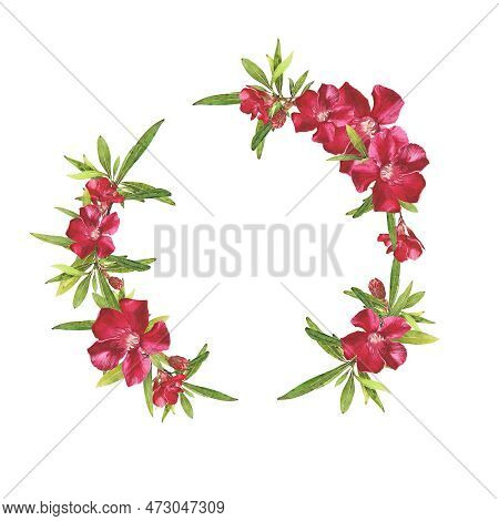 Watercolor Illustration Of Oleander. Set With Flowers And Leaves. Hand-drawn Isolated Clip Art On A 