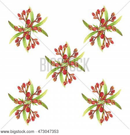 Watercolor Illustration Of Oleander. Set With Flowers And Leaves. Hand-drawn Isolated Clip Art On A 