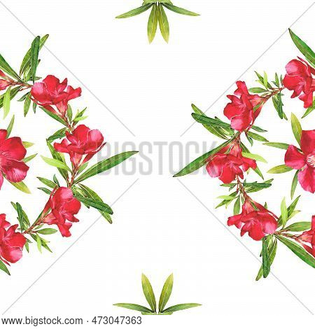Watercolor Illustration Of Oleander. Set With Flowers And Leaves. Hand-drawn Isolated Clip Art On A 