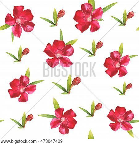 Watercolor Illustration Of Oleander. Set With Flowers And Leaves. Hand-drawn Isolated Clip Art On A 