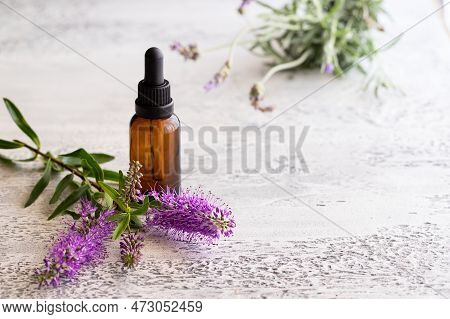 Essential Lavender Oil In Glass Bottle On Light Concrete Background With Copy Space. Aromatherapy An
