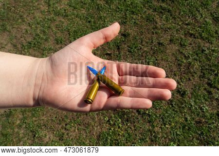 Two Yellow-blue Rifle Cartridges In Hand Against The Background Of Green Grass (national Symbols Of 