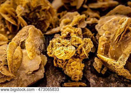 This Stunning Photograph Captures The Intricate Details And Rich Colors Of A Golden Brown Sandrose S