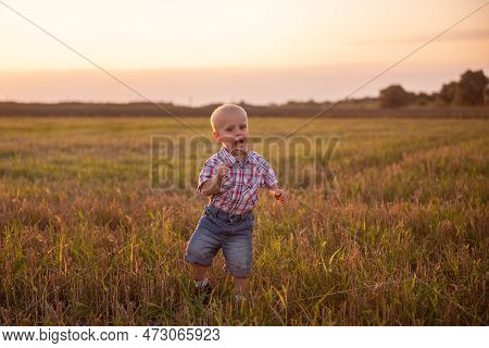 Close Up Portrait Of Little Boy In Plaid Shirt. Todder With Emotions Eats Spikelet Of Wheat