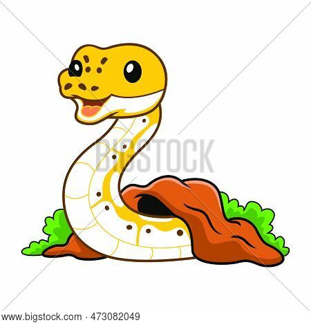 Vector Illustration Of Cute Pastel Ivory Ball Python Cartoon Out From Hole