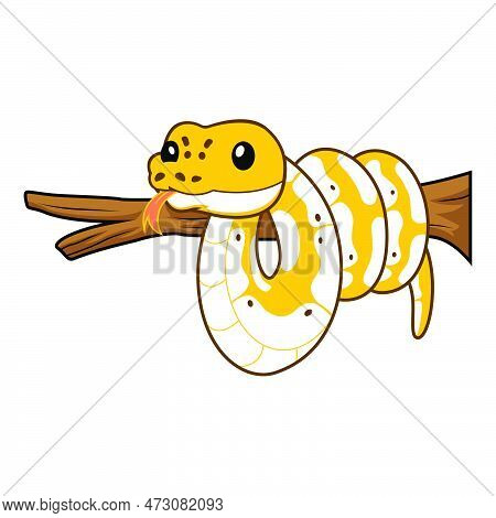 Vector Illustration Of Cute Pastel Ivory Ball Python Cartoon On Tree Branch