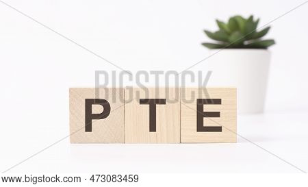 Pte Acronym On Wooden Cubes On White Background. Business Concept