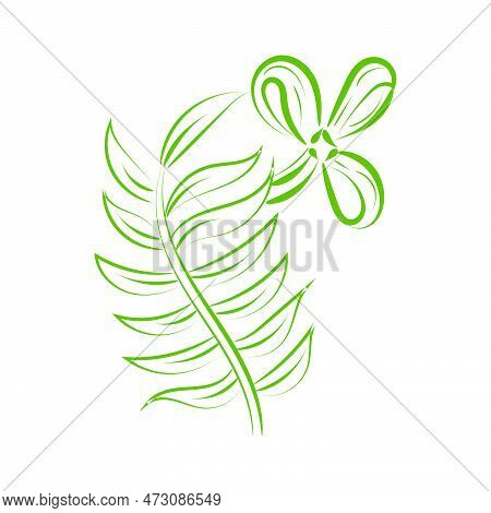 A Christian Palm Sunday Religious Holiday With Palm Branches And Leaves