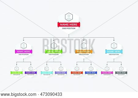 Job Position Classification Graph Chart Design With Colorful Hexagon Shapes. Data Analysis And Prese