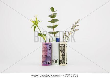 Banka notları ve bitkiler