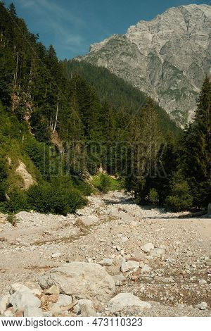 Pathway Amidst Trees Into The Woods In Leogang, Austria