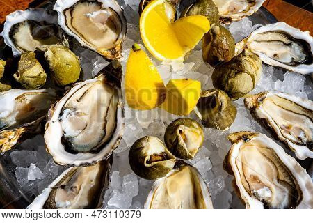 Fresh Oysters And Whelk Platter With Lemon On The Ice. High Quality Photo