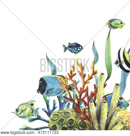 Bright Reef Fish With Corals, Sea Sponges And Algae. Watercolor Illustration. Temlate From The Colle