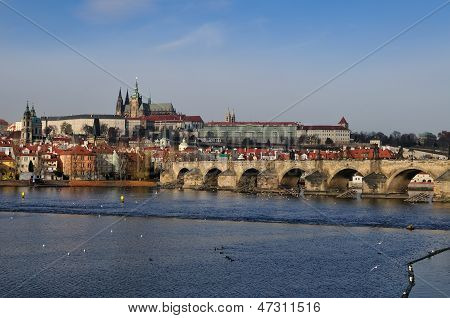 Praga al giorno