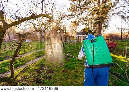 Shot From Behind, Backlight On Farmer With Protective Clothing Sprays Fruit Trees In Orchard Using L