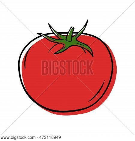 Illustration Of A Ripe Tomato In A Linear Style.