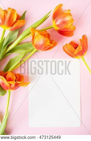 A Beautiful Bouquet Of Orange Peony Tulips Along With A White Card In The Middle Isolated On A Pink